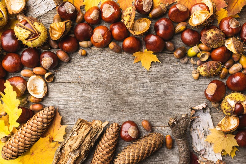 “Seasonal Delights: Explore Fresh and Flavorful Recipes with Local Ingredients”