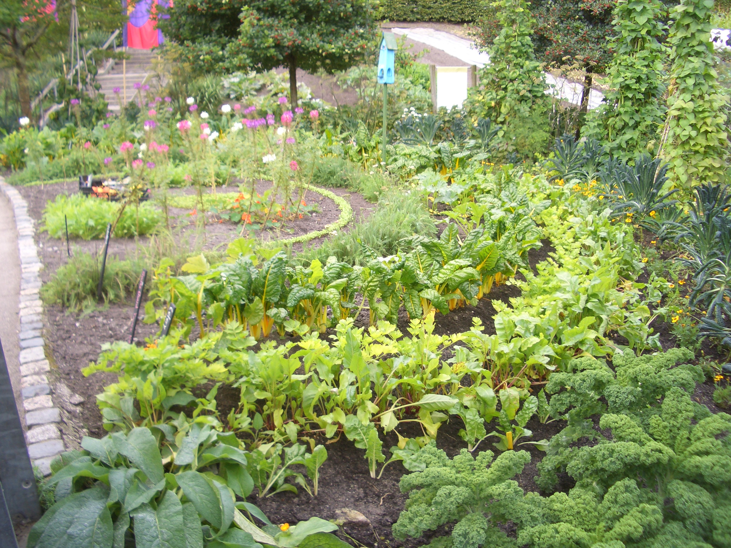 “Grow Your Own Nutritious Food: Edible Gardening for a Healthy, Sustainable Lifestyle”