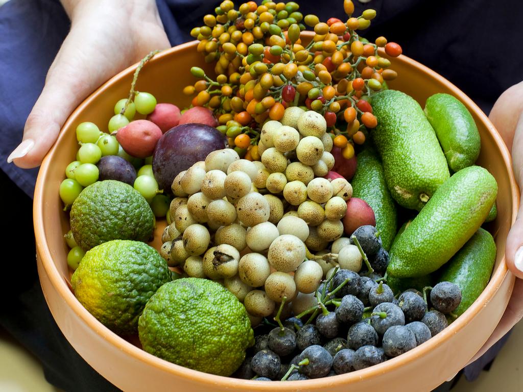 Exploring the Richness of Indigenous Cuisine: Nourishing Body and Soul with Native Foods