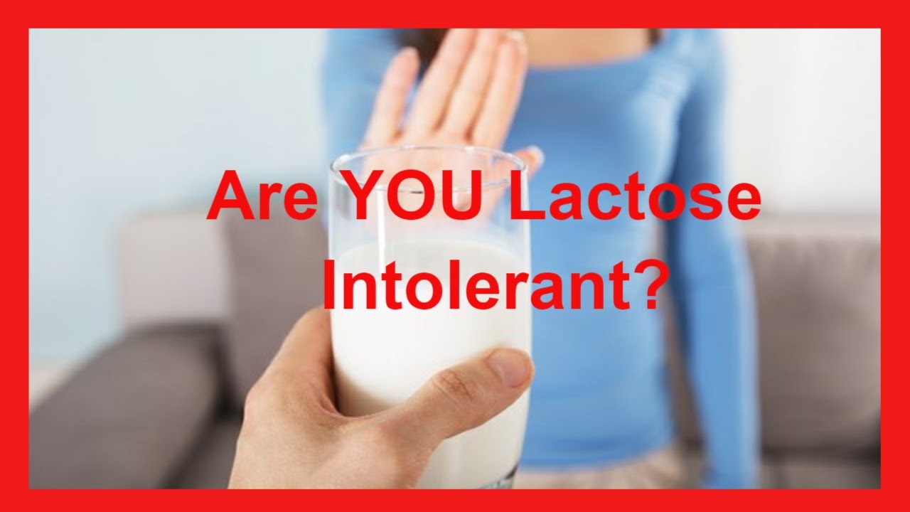 Unveiling the Historical Origins of Lactose Intolerance