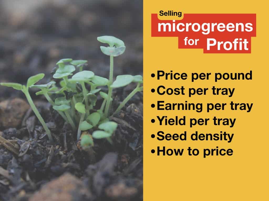 “Seasonality’s Influence on Profitability: Unveiling the Secrets of Growing and Selling Microgreens”