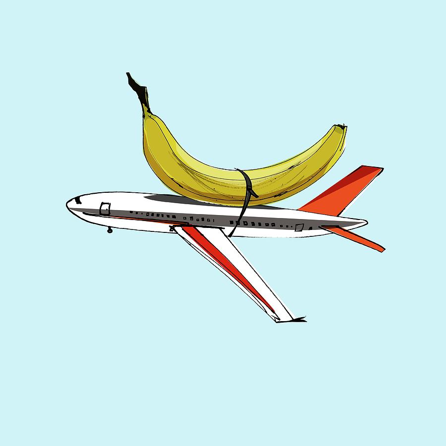 Food Miles: The Environmental Impact of Your Food Choices