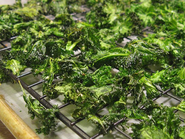 “Kale-ing It with Celebrity Chefs: Mouthwatering Recipes and Tips!”