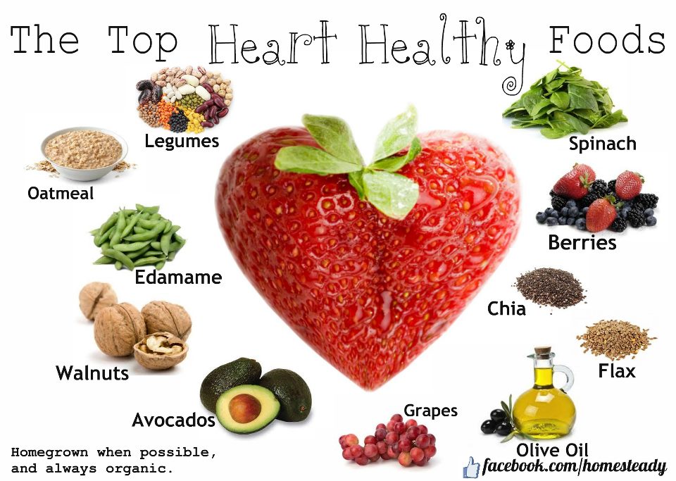 “10 Heart-Healthy Foods to Keep Your Cardiovascular System in Top Shape”