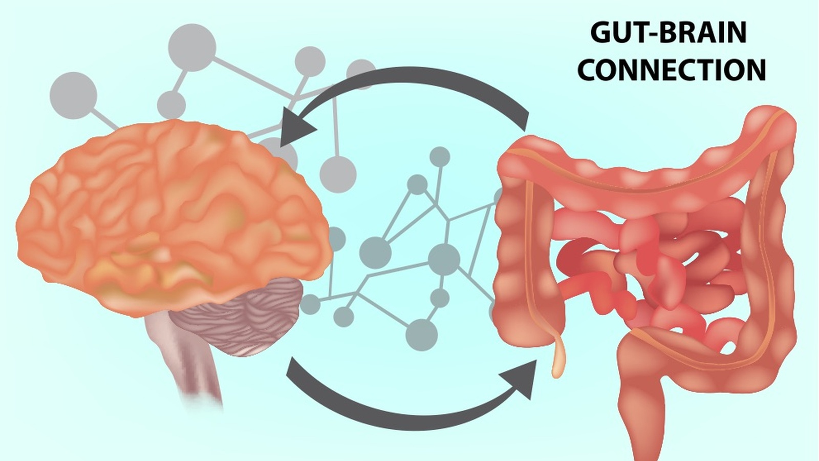 The Gut-Mind Connection: How Your Gut Health Impacts Mental Well-Being
