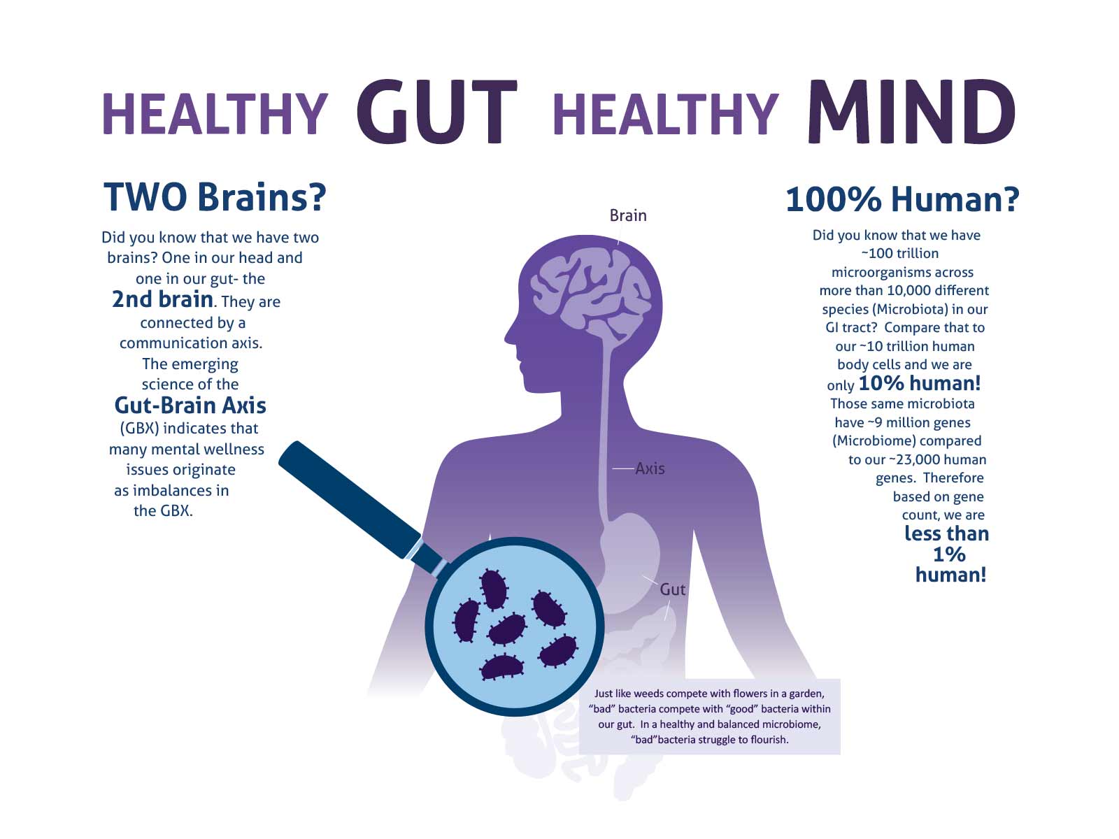 Prebiotics: The Key to Better Mental Health