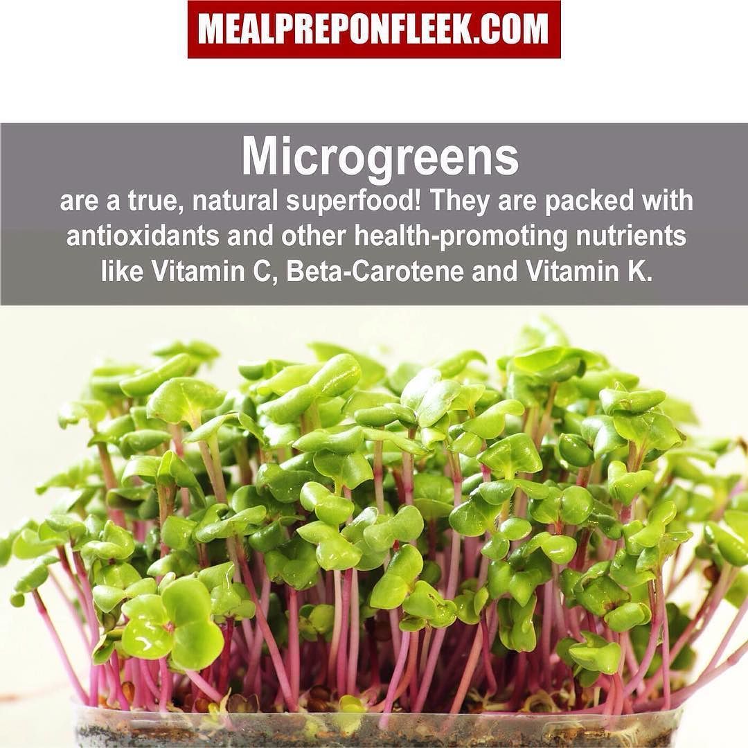 “Tiny Greens, Big Benefits: Why Microgreens Should Be on Your Plate”