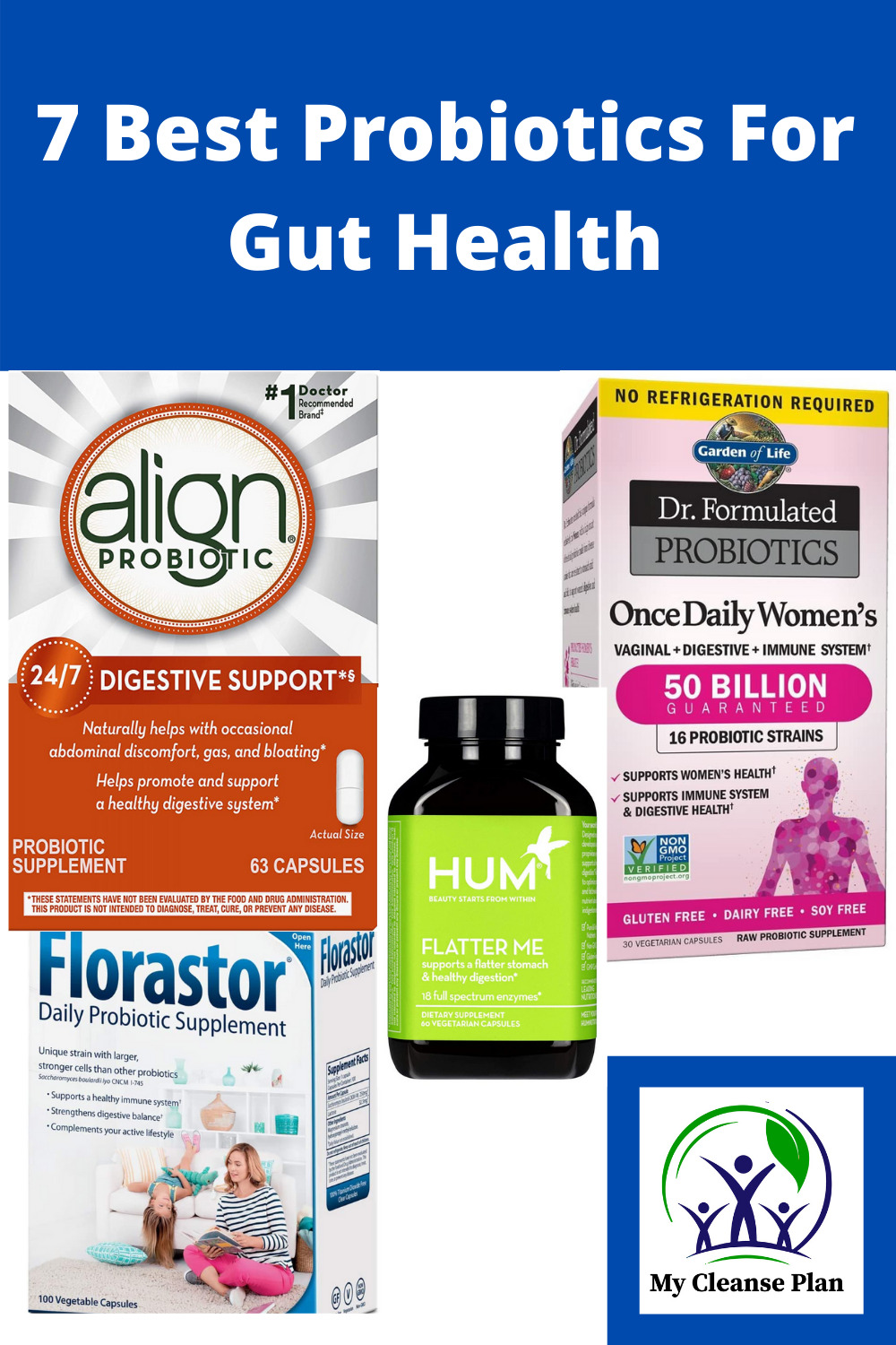 The Gut Health Guide: Boost Digestion and Enhance Well-being