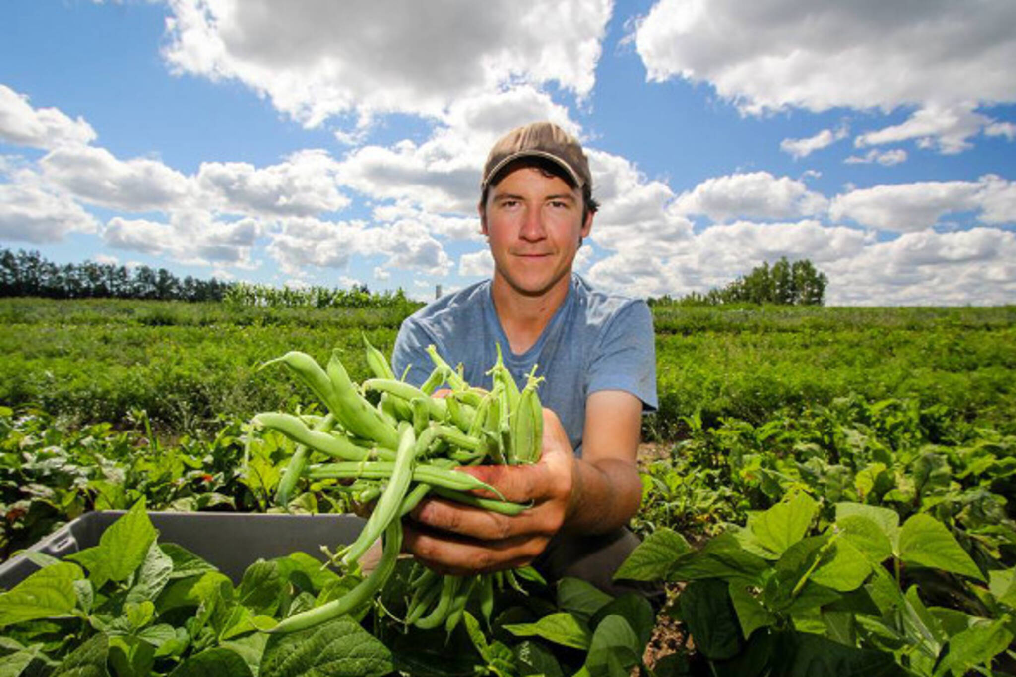 Organic Farming: Unveiling the Sustainable Agriculture Revolution
