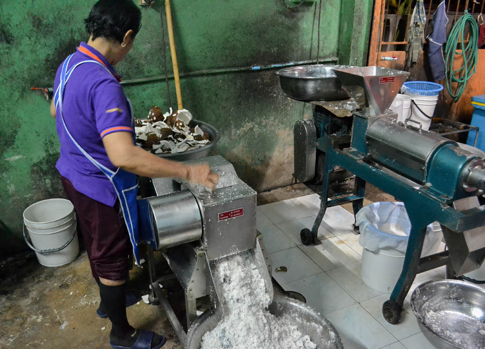 “From Farm to Glass: Homemade Coconut Milk Takes the Market by Storm with Health Benefits and Profit Potential”
