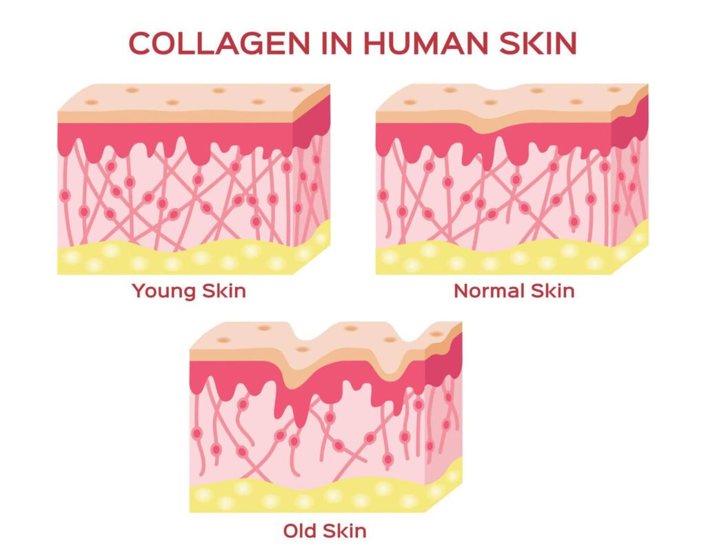 “10 Natural Ways to Boost Collagen Production for Youthful Skin and Hair”