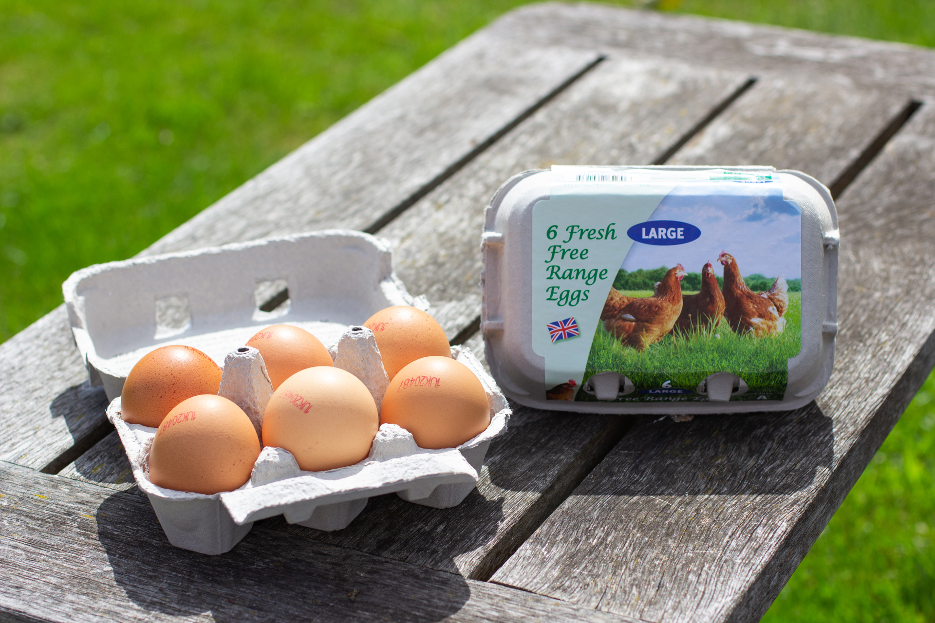 “Cracking the Code: Ensuring Your Free-Range Eggs Meet Ethical Standards”