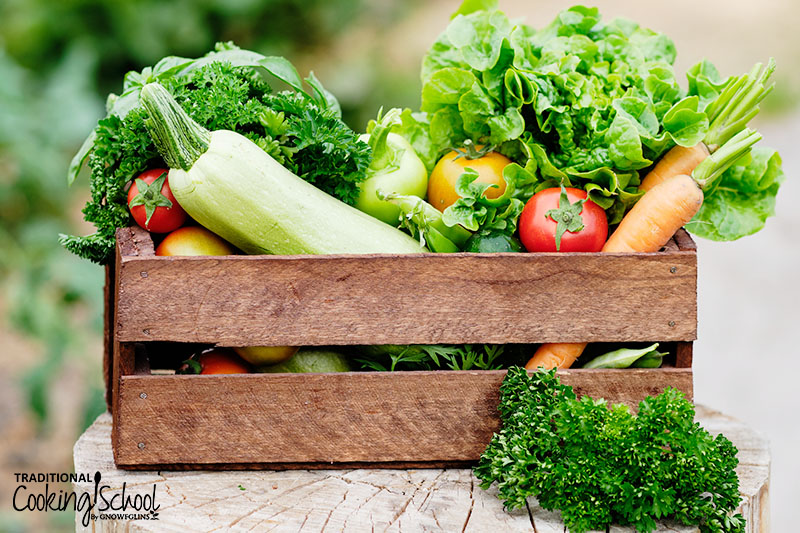 Food Co-ops: Revolutionizing Healthy Eating and Community Connection