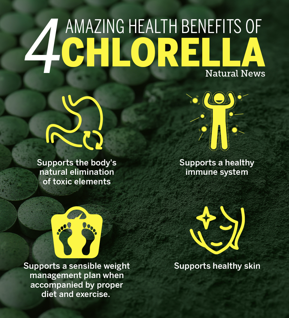 “Chlorella: The Superfood Secret to Shedding Pounds Naturally”