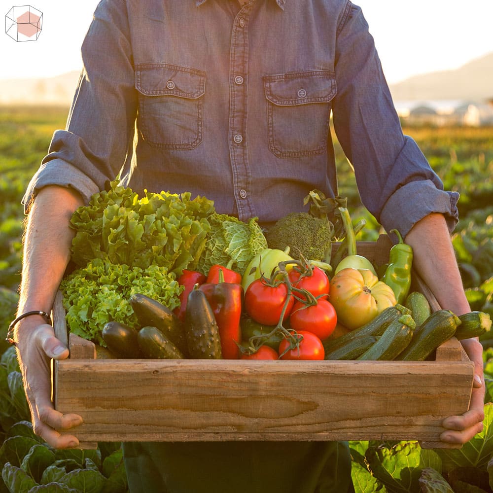 Farm-to-Table: Fresh and Local Food Directly on Your Plate