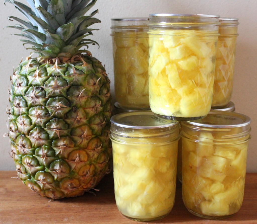 The Sweet and Nutritious Delight: Exploring the World of Canned Pineapple!