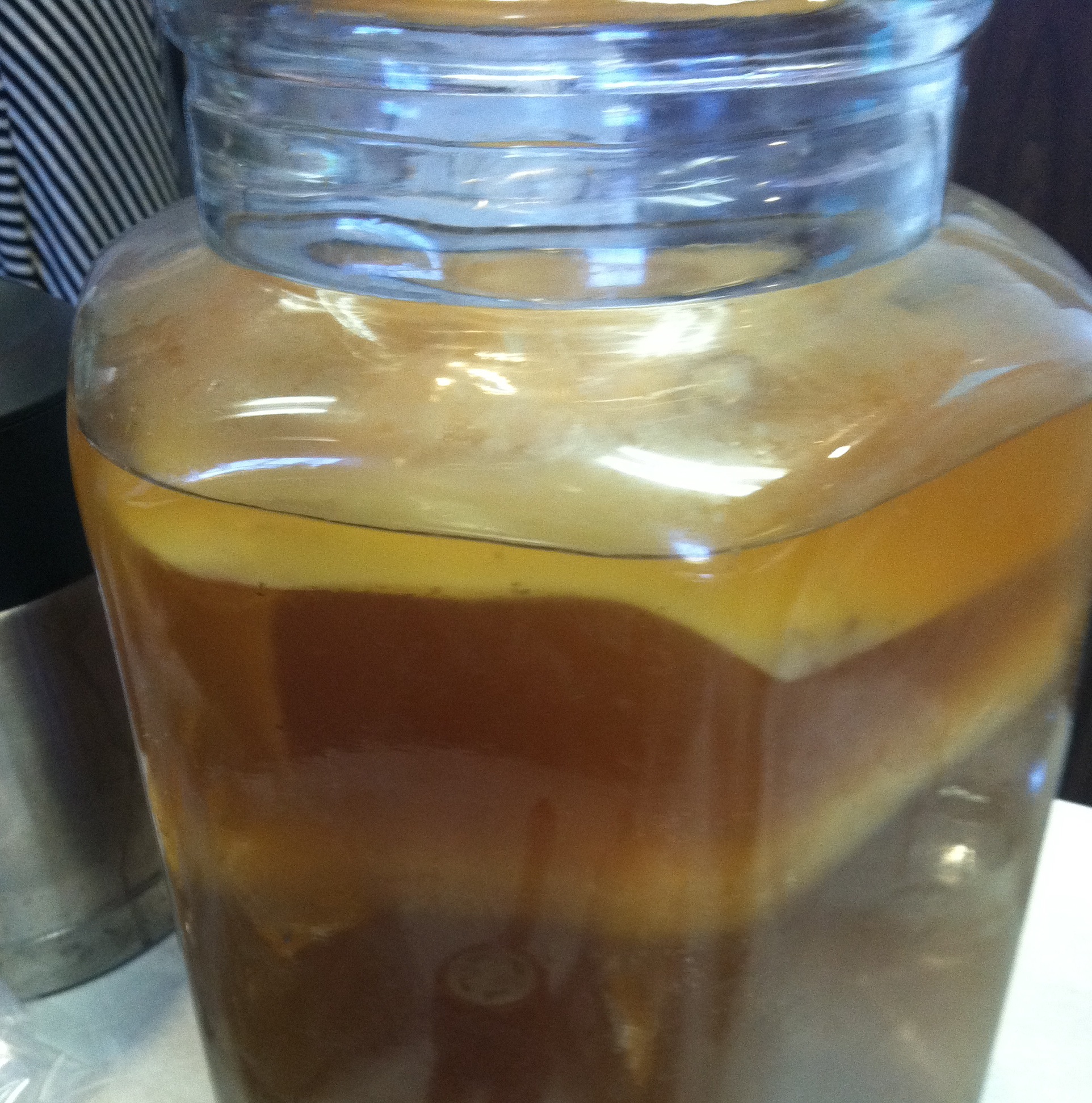 “Take Your Homemade Kombucha to the Next Level: 8 Fermentation Techniques for Flavorful Brews!”