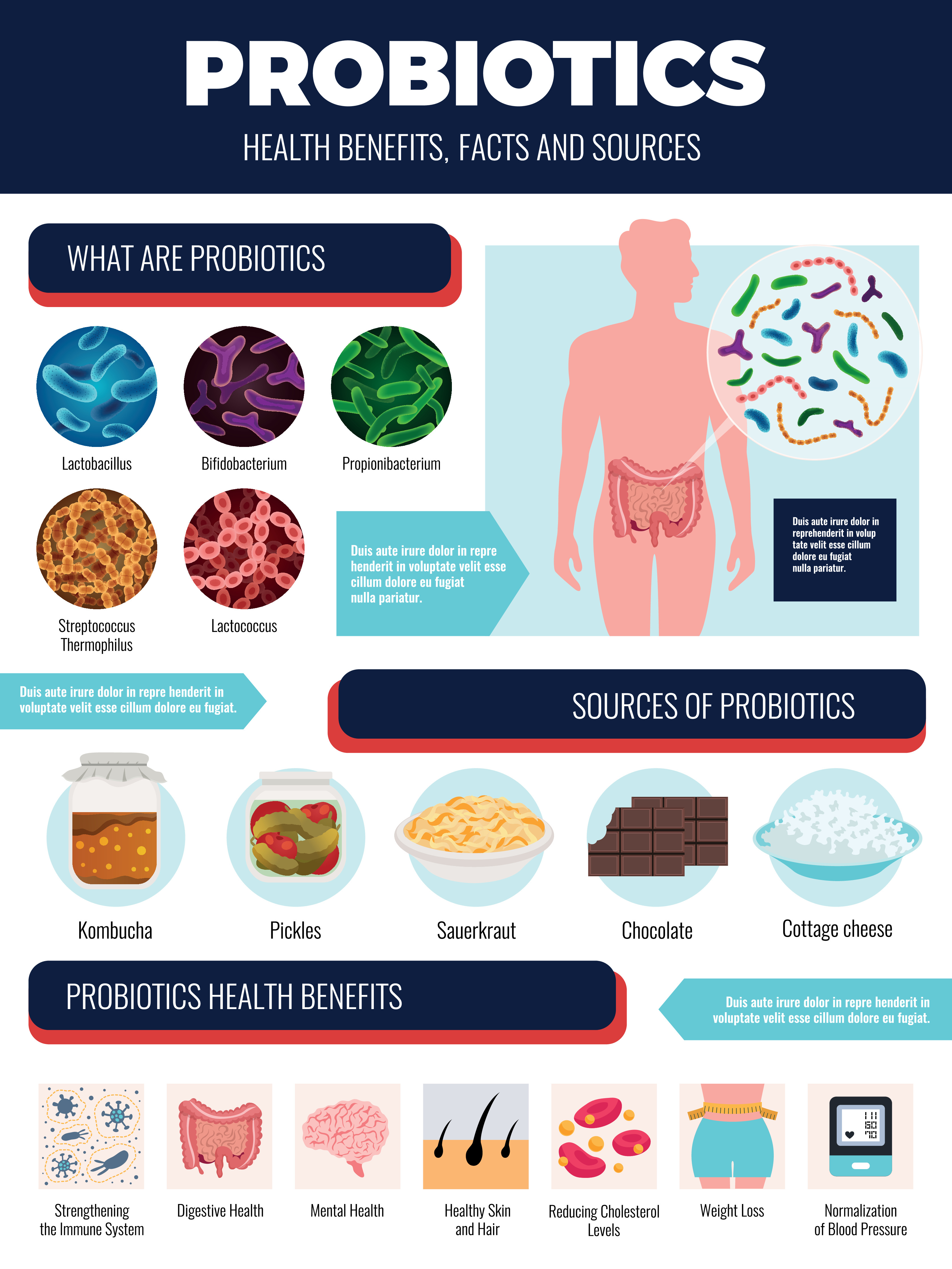 Unlocking the Power of Probiotics: Beyond Gut Health