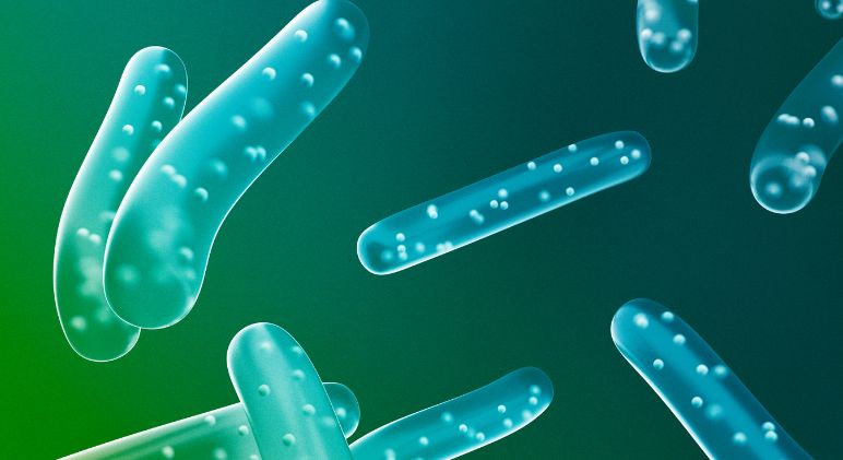 Unleashing the Power of Fermentation: Expert Insights on Health Benefits and Easy DIY Tips