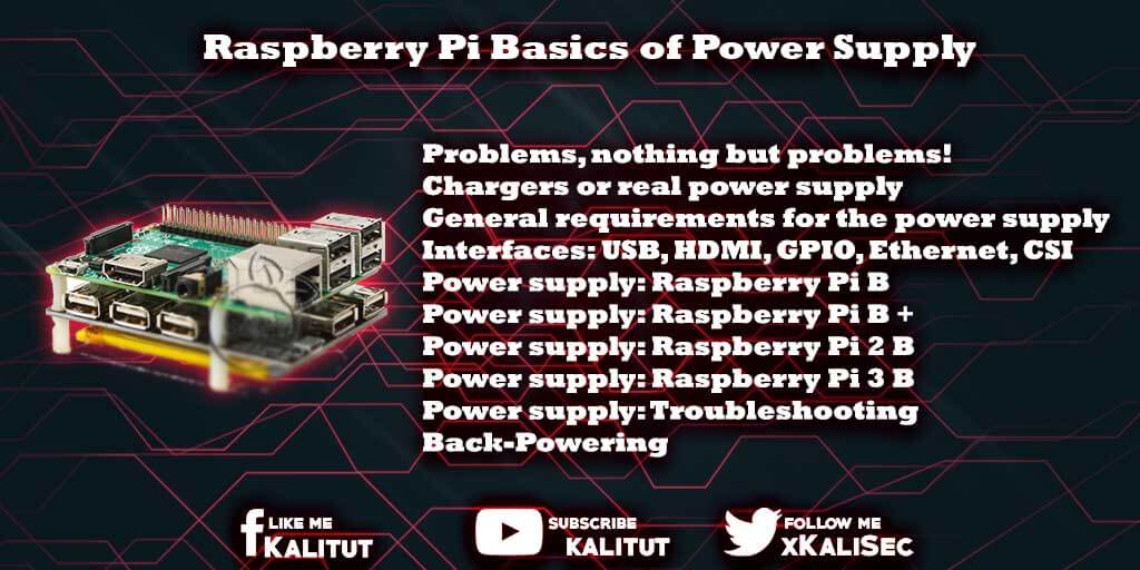 Raspberry Supply and Demand: Exploring the Fluctuating World of Raspberries