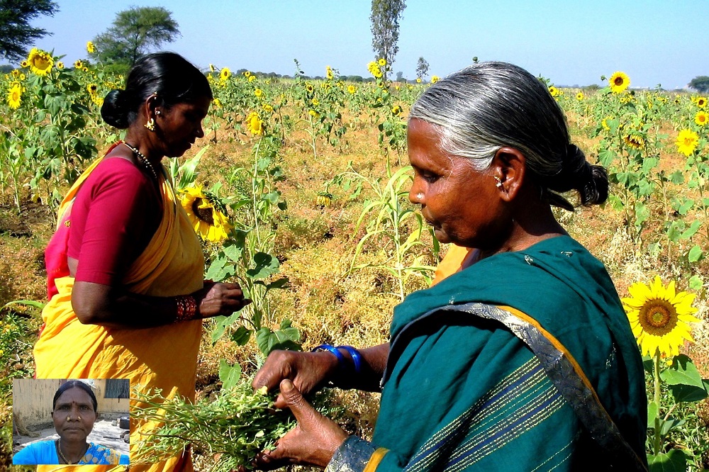 “Growing a Sustainable Future: Innovative Farming Practices for a Healthier Planet”