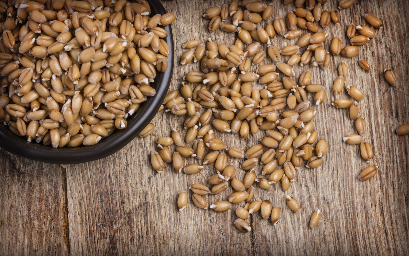 Unlocking the Power of Sprouted Grains: The Nutritional Superstars You Need to Try