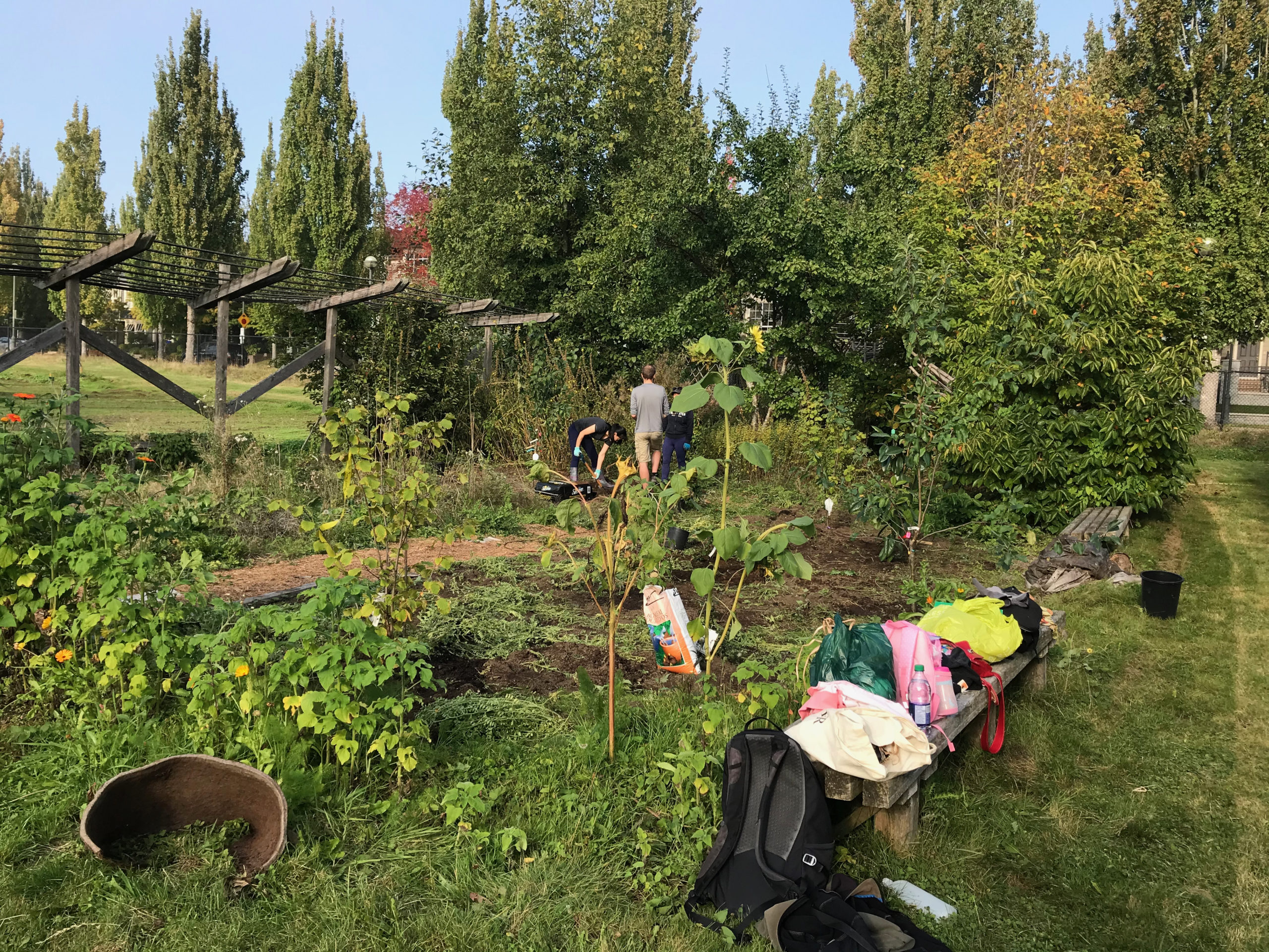 "Permaculture Design: Growing Healthy Food & Living Sustainably"