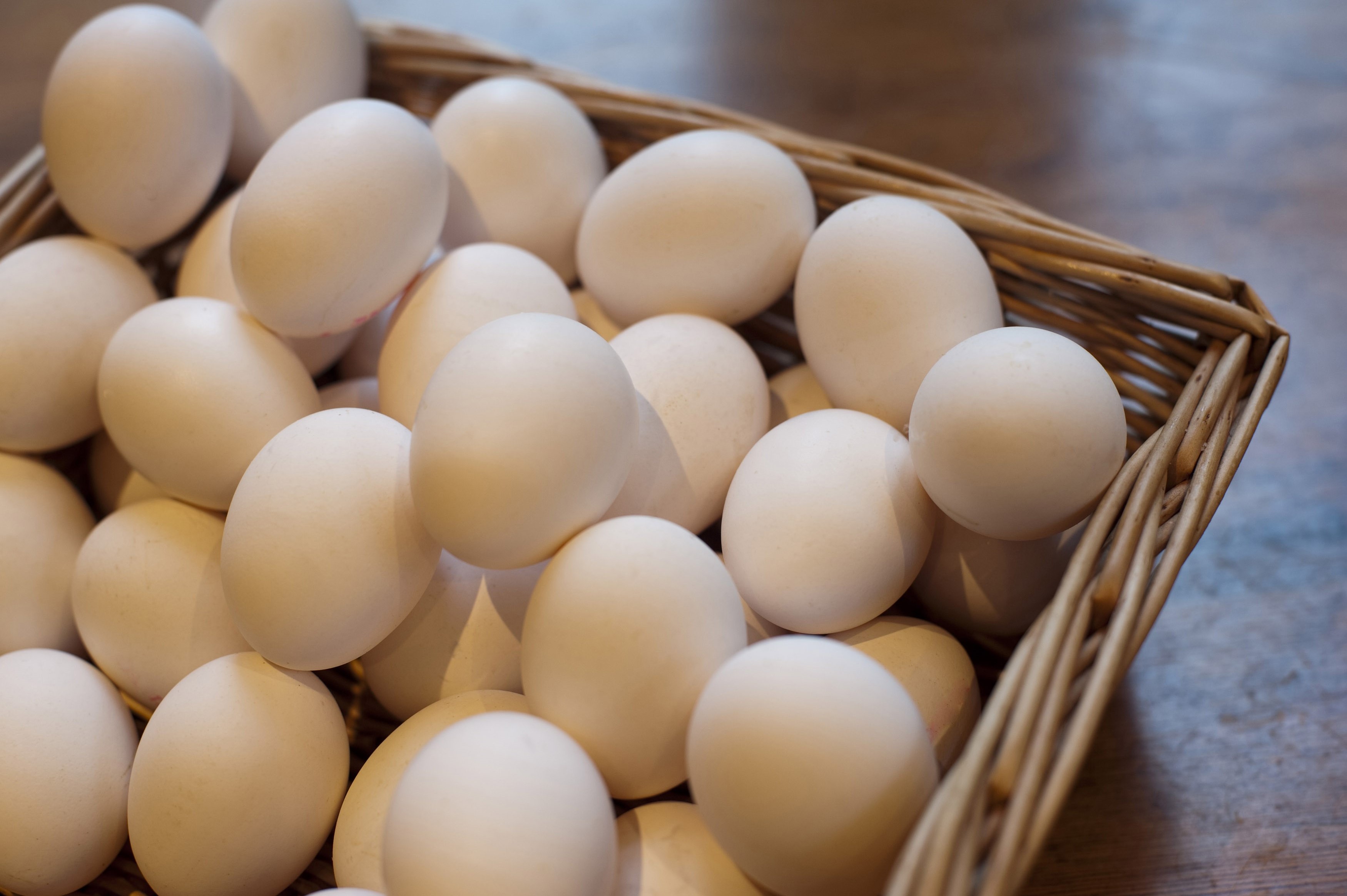 “Farm-Fresh Eggs: Elevating Your Cooking to New Heights!”