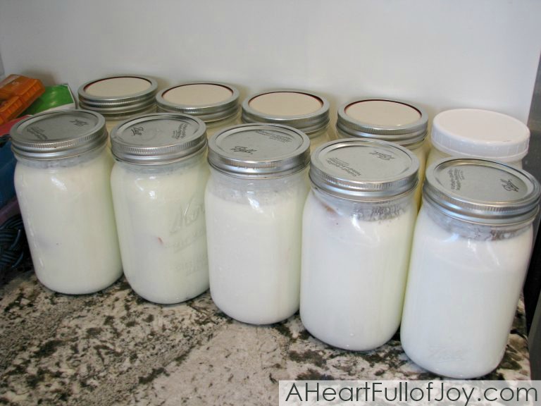 Unraveling the Science Behind Kefir’s Fermentation Process