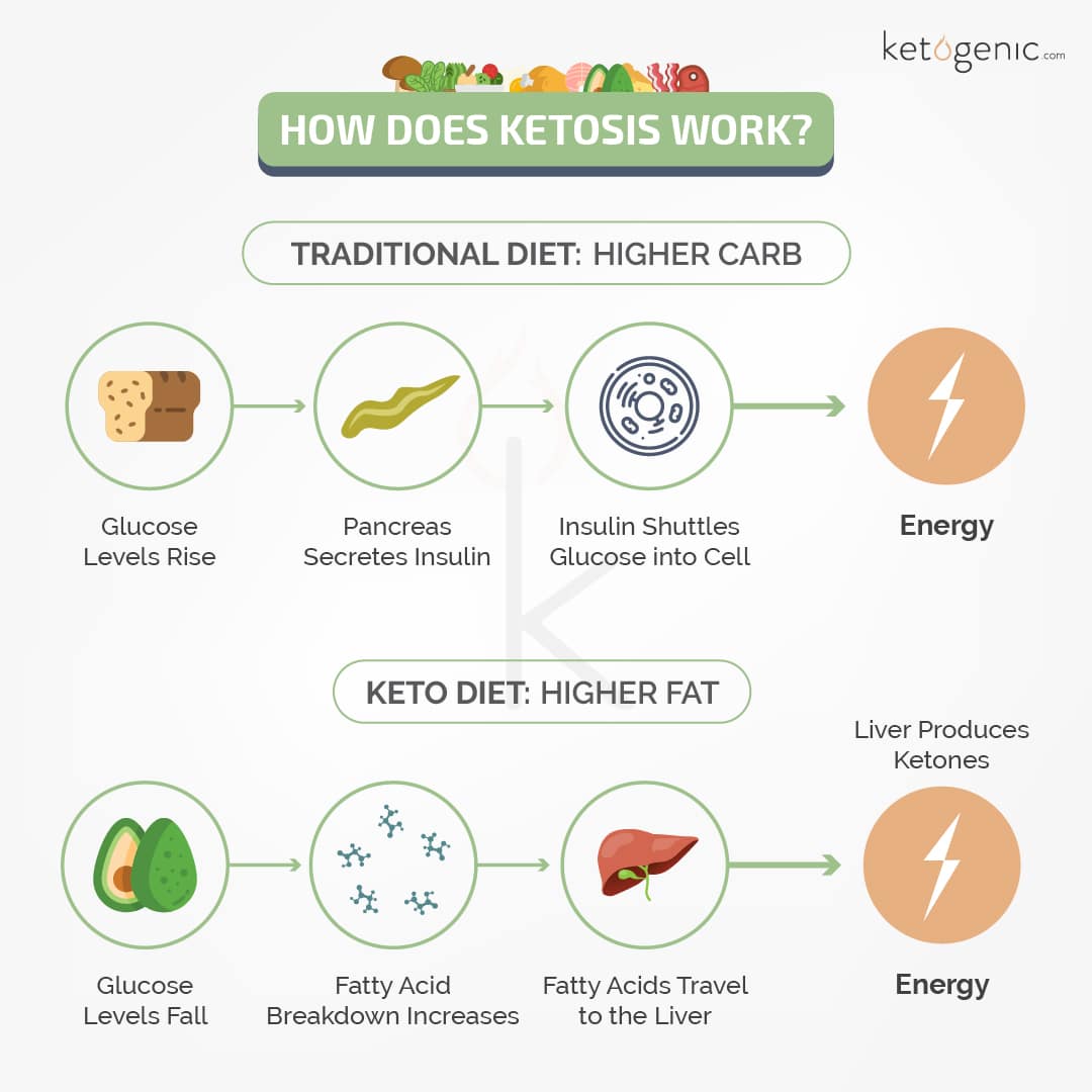 The Financial Benefits of a Ketogenic Diet: Saving Money While Improving Health