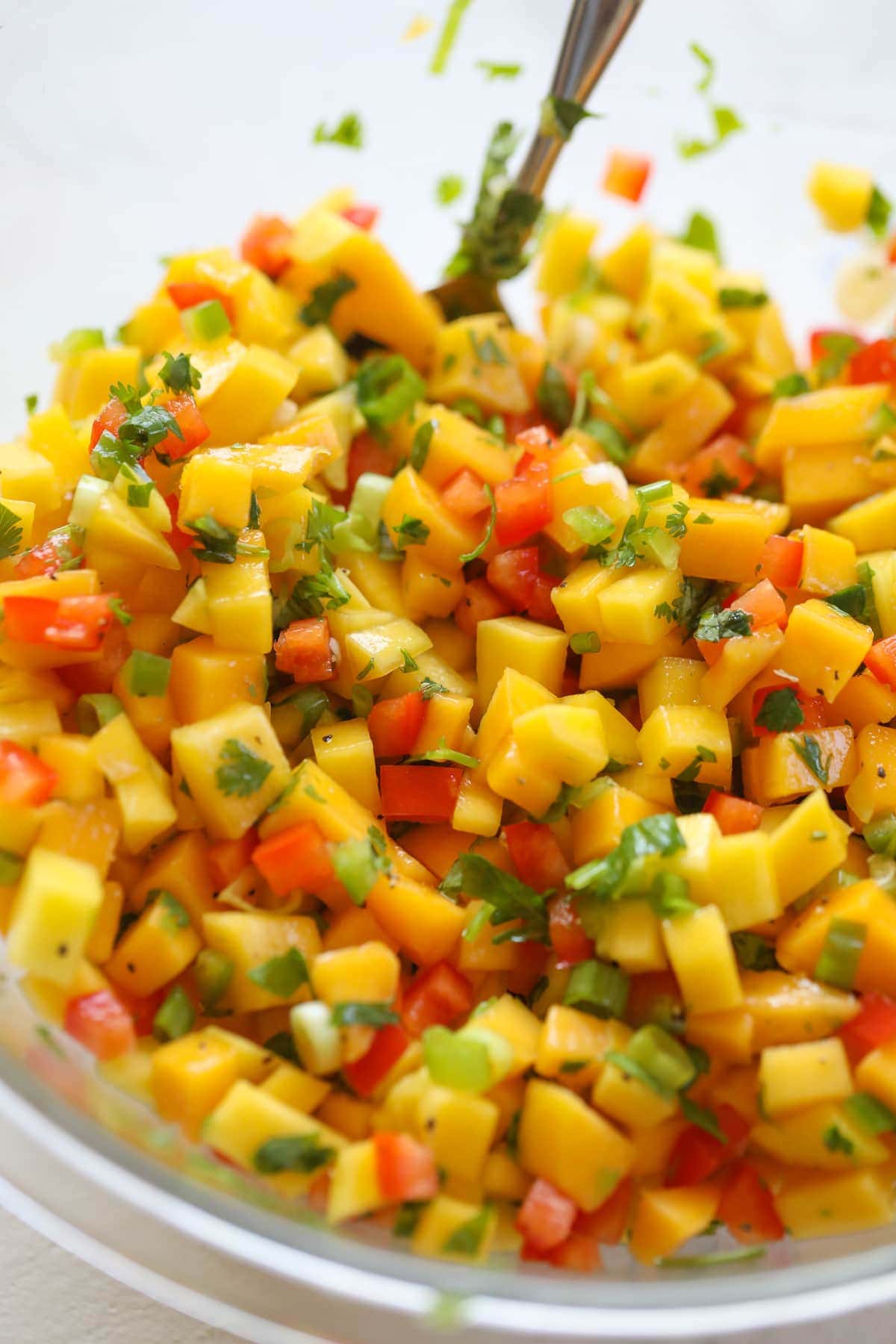 “Embrace the Tropical Goodness: Mango Takes Center Stage in Versatile and Delicious Dishes!”