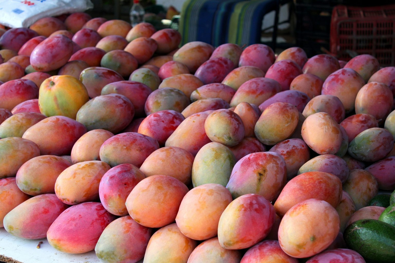 Mango Imports: The Sweet and Nutritious Addition to Your Diet