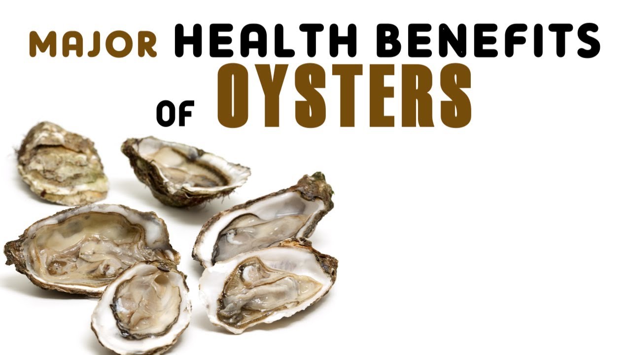 Unleashing the Power of Sustainable Fishing: Promoting Healthier Oceans and Thriving Communities