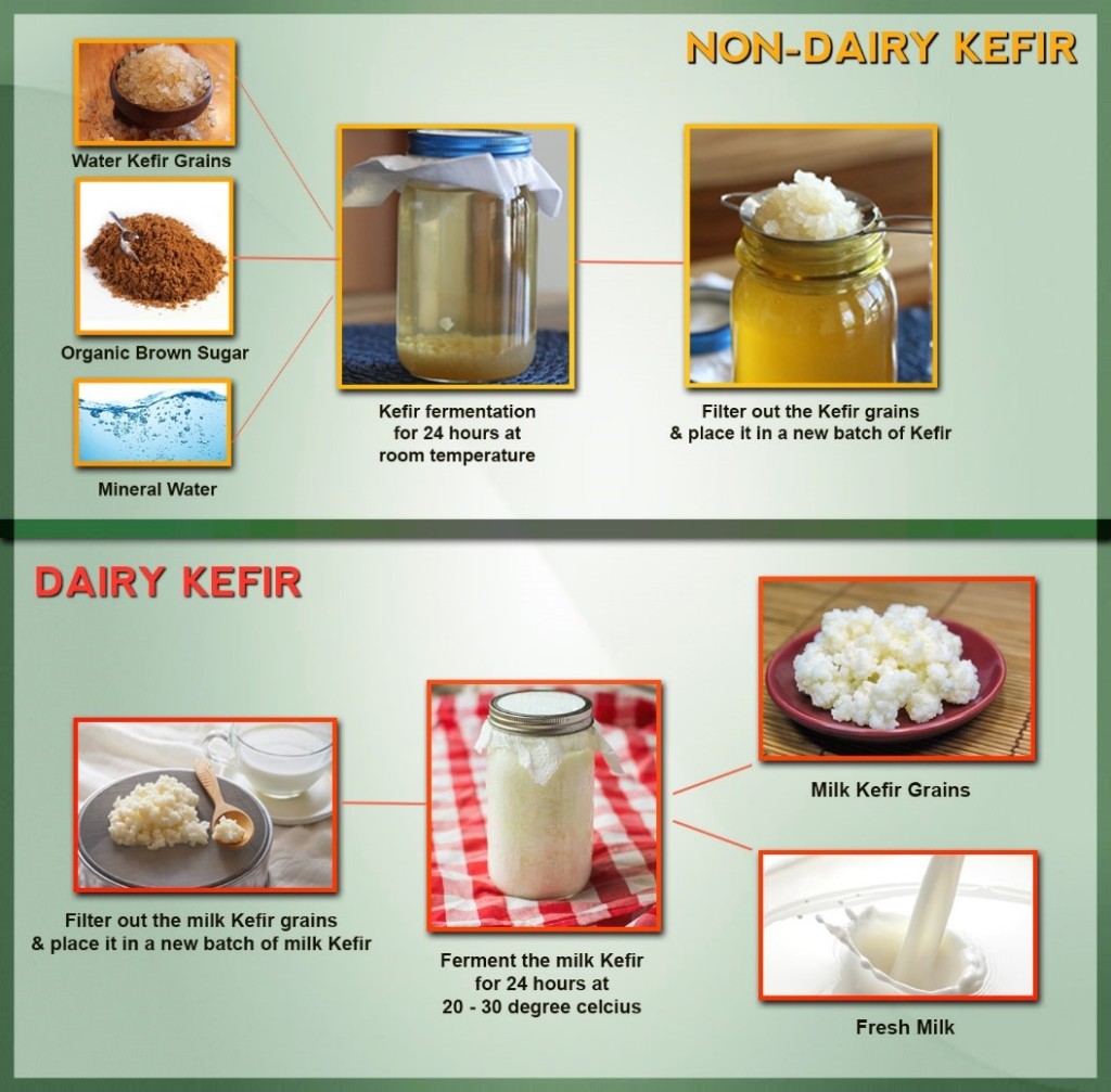 Boost Your Gut Health with Homemade Kefir: A Delicious and Easy DIY Guide