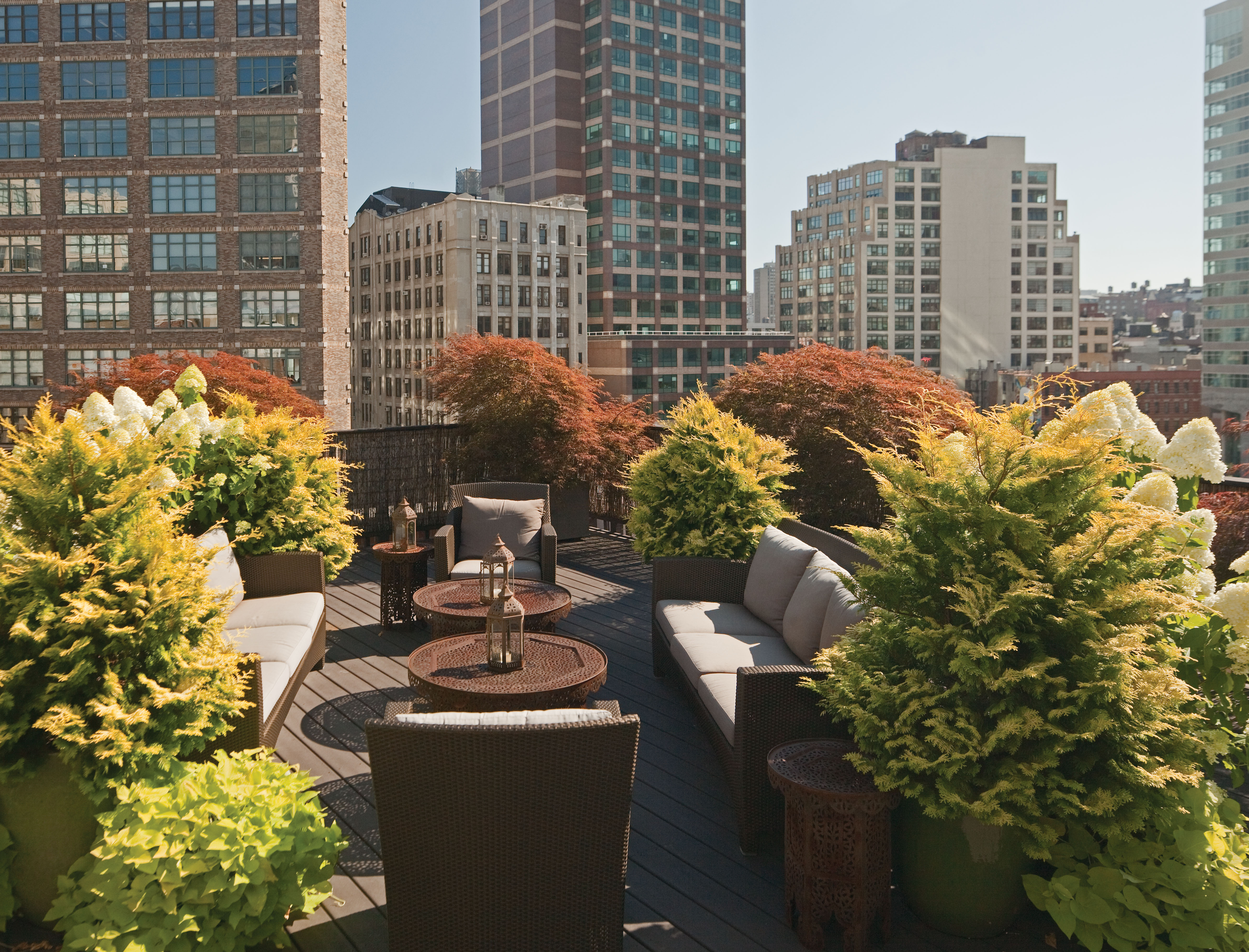 Rooftop Gardens: Creating a Green Oasis in Urban Living
