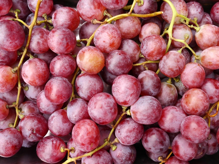Exploring the Grape Varieties: A Tasty Guide to Healthy Eating