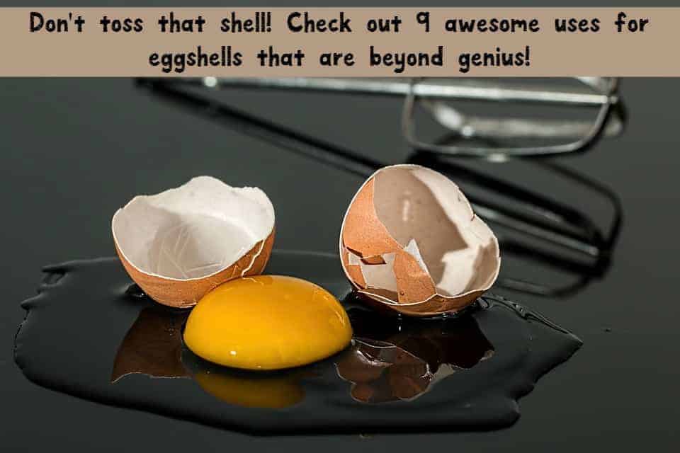 “Crack the Code: 7 Surprising Ways to Use Leftover Eggshells and Reduce Waste”