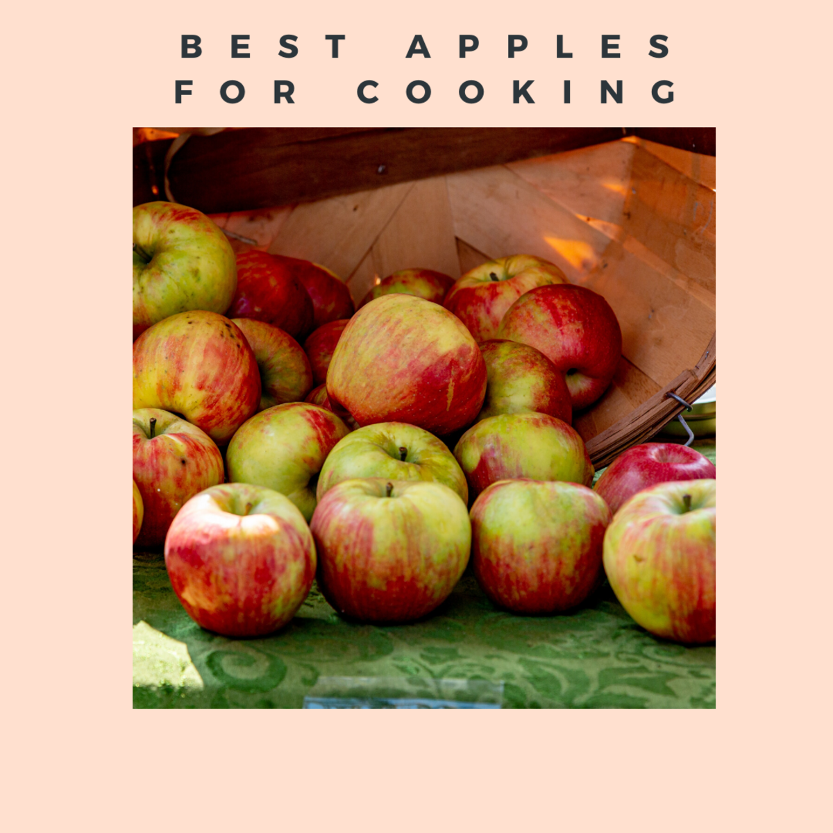 “Baking with Apples: The Perfect Varieties for Delicious Treats!”