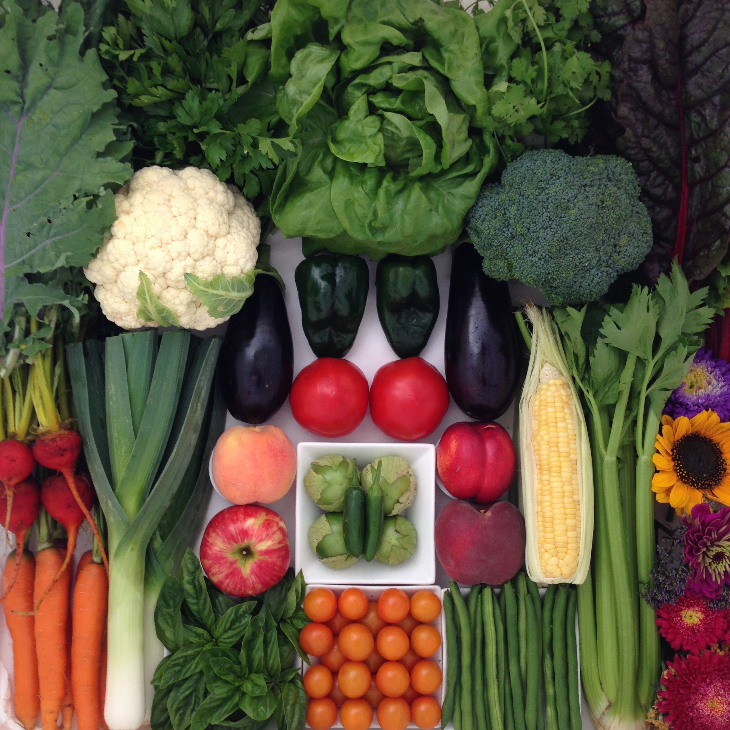 10 Reasons to Join a CSA and Support Local Agriculture