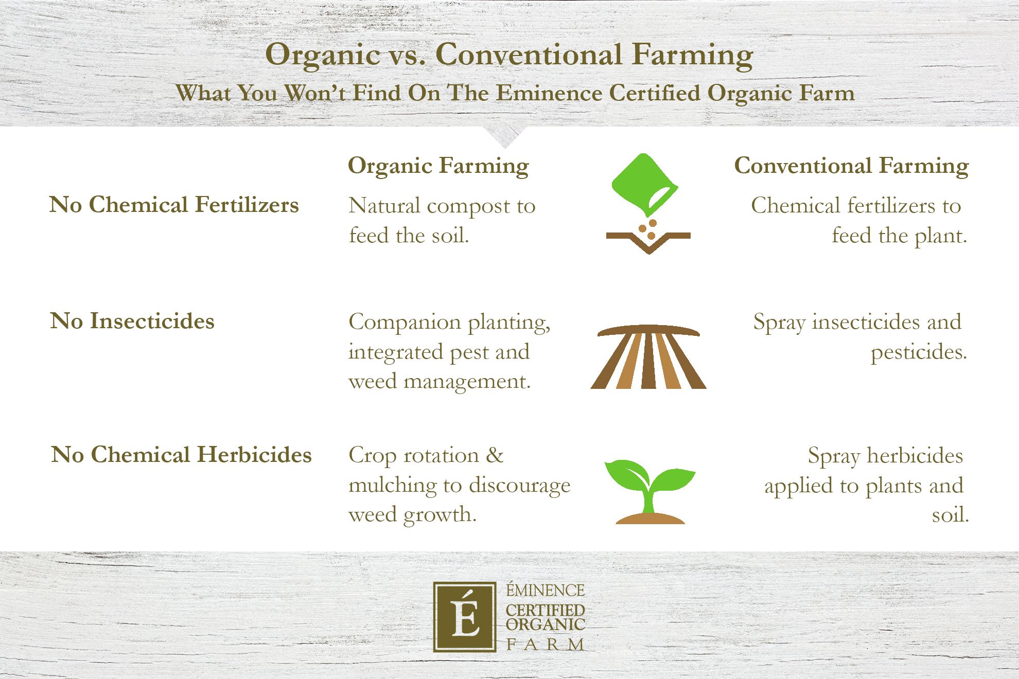 Navigating the Financial Landscape of Healthy Fats: Organic vs. Conventional