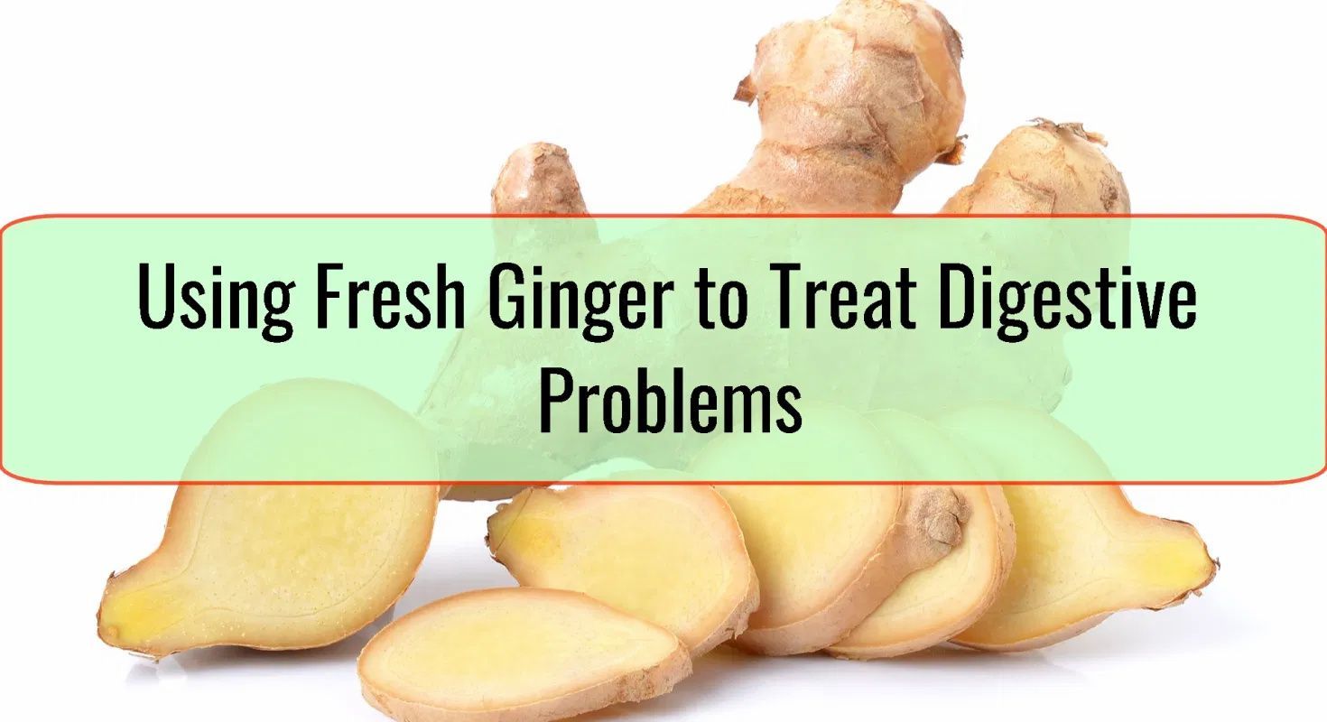 Ginger: Nature’s Digestive Superhero