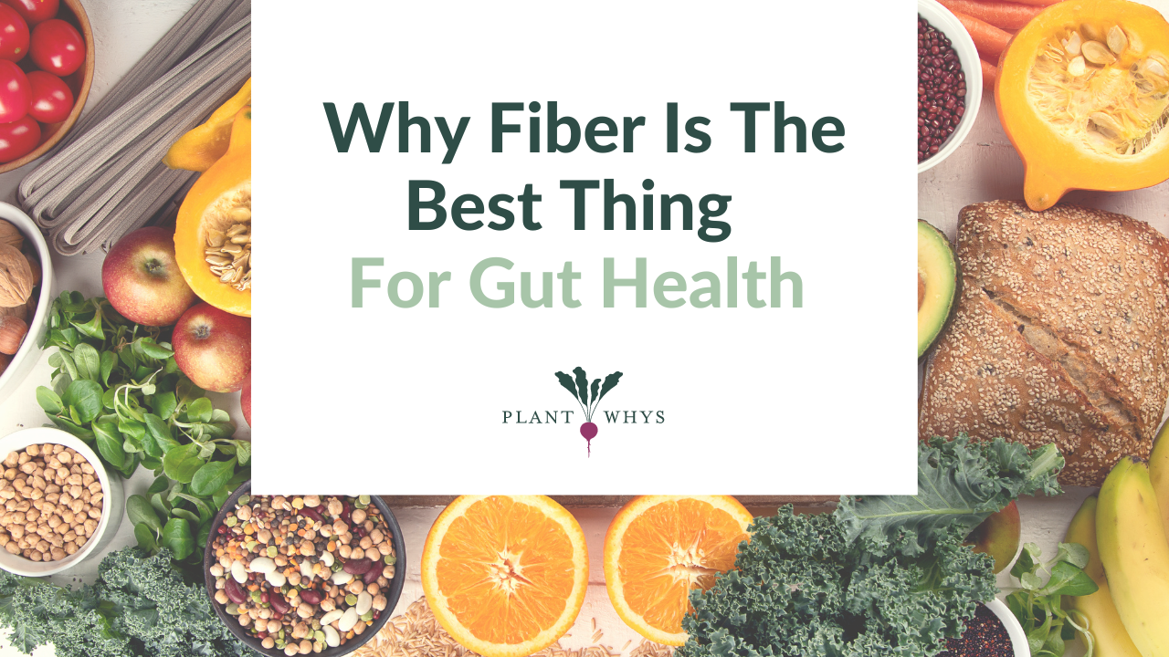 “Gut-Friendly Tempeh: The Indonesian Delight for a Healthy You!”