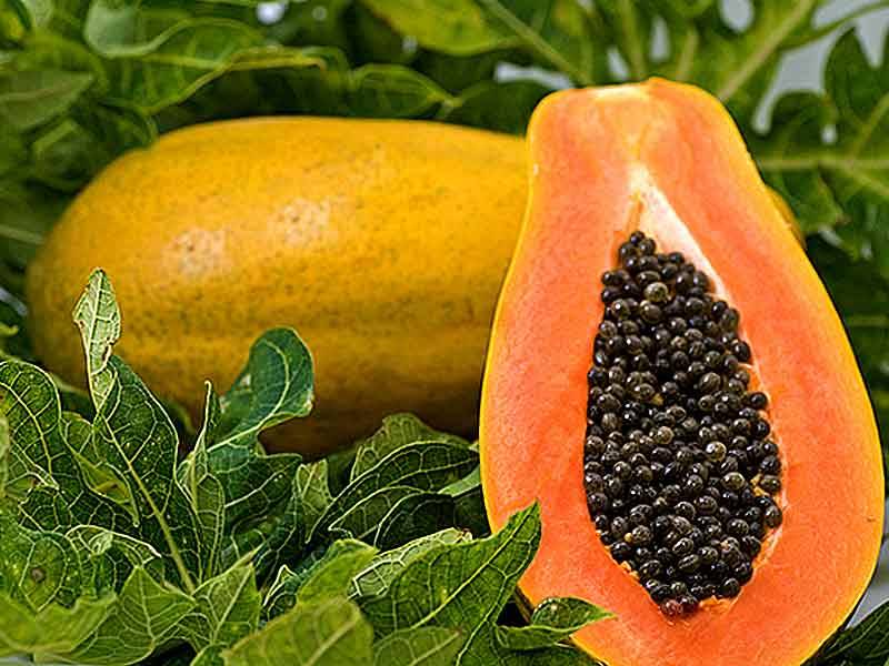 "Papayas: The Tropical Powerhouse for Health and Flavor!"