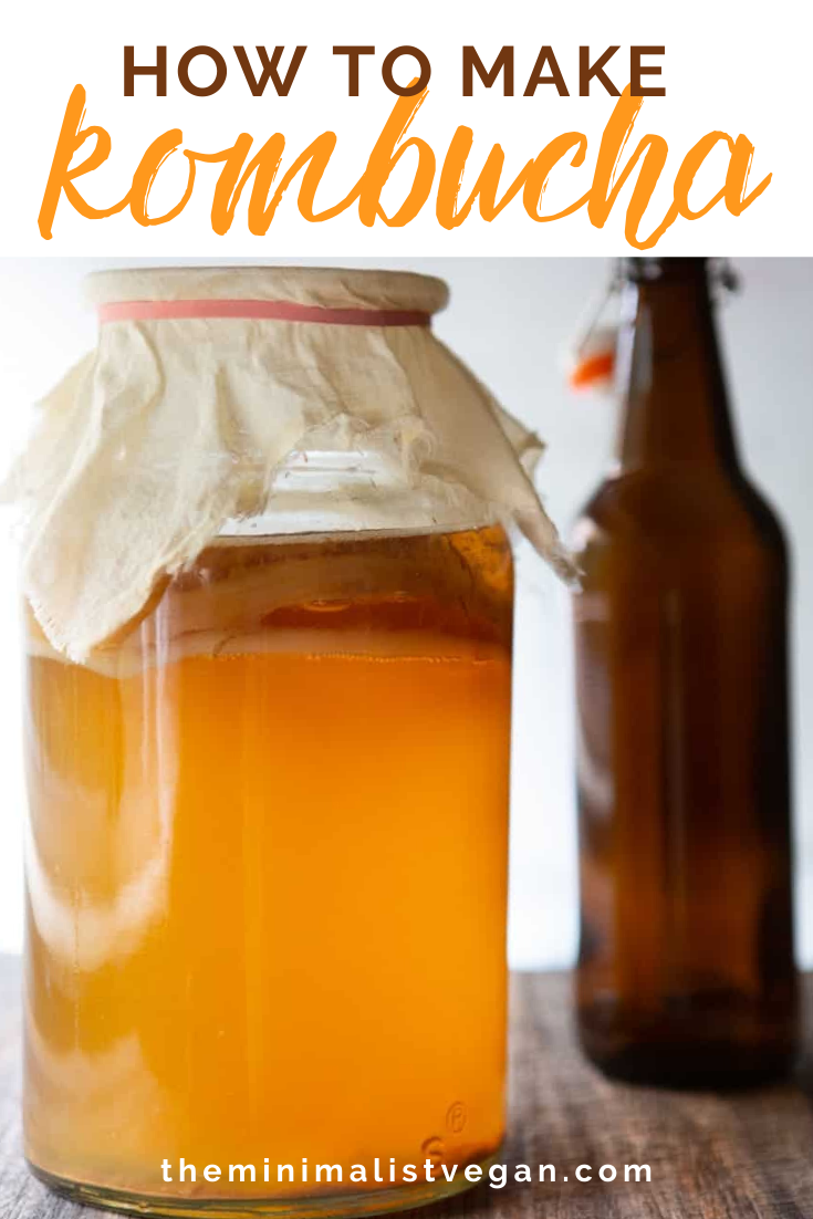 Save Money and Sip Satisfaction: The Financial Benefits of Making Your Own Kombucha