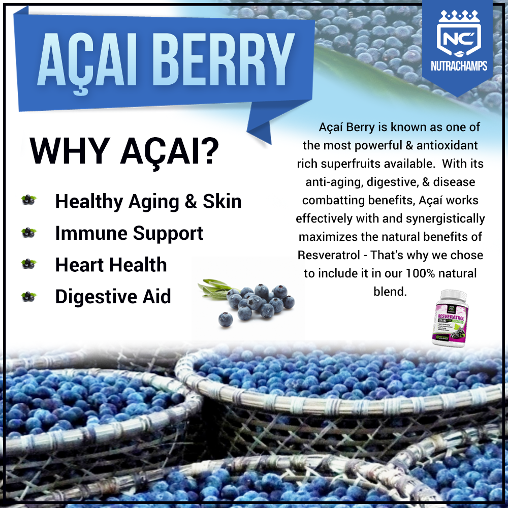 Sustainable Sourcing of Acai Berries: A Responsible Choice