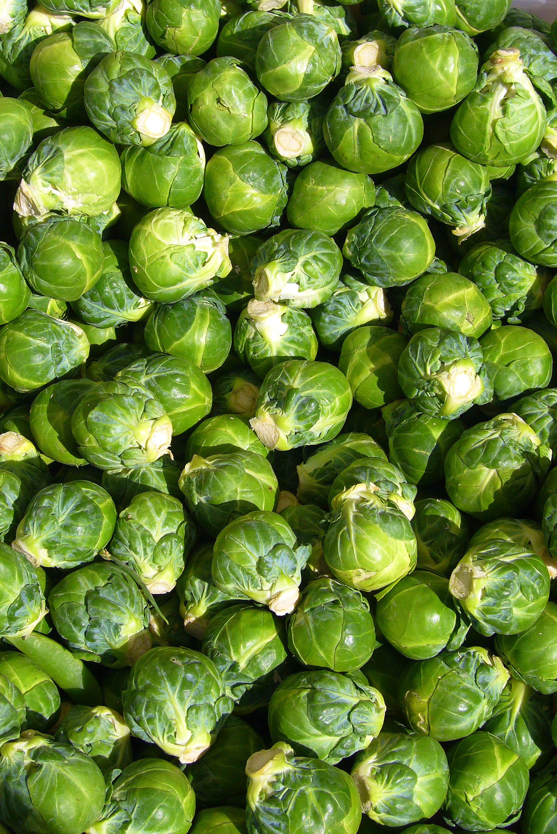 Fresh or Frozen? Comparing the Cost of Brussels Sprouts to Help You Decide