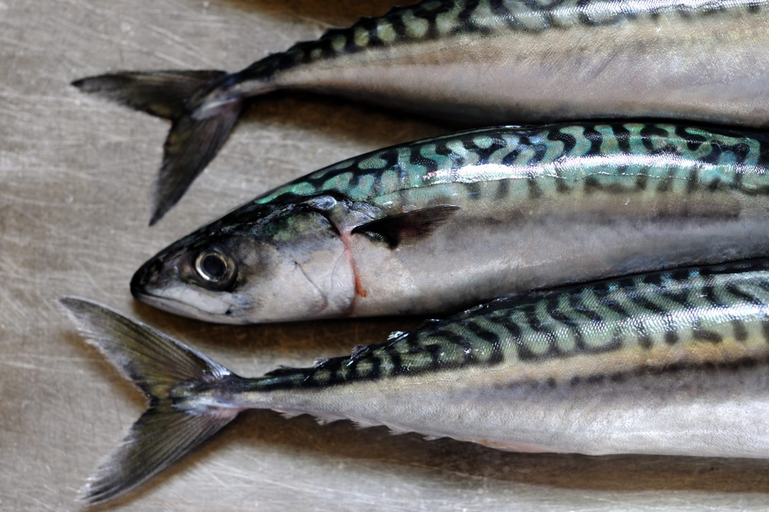 Mackerel: The Nutritional Powerhouse Fish
