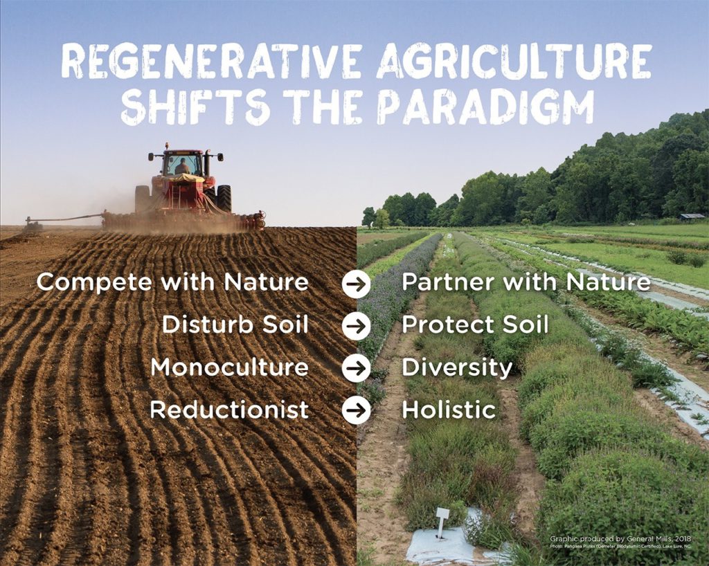 Regenerative Farming: Cultivating a Sustainable Food Revolution