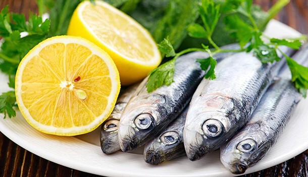 "15 Reasons Why Sardines Should Be Your New Favorite Superfood"