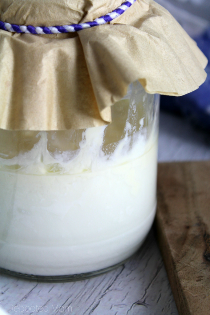 Unveiling the Science Behind Kefir Fermentation: From Milk to Gut-Healthy Elixir